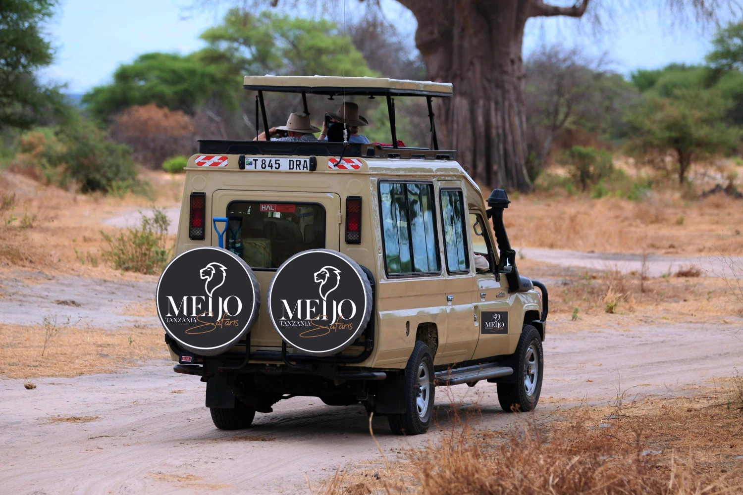 Tarangire National Park Meijo Safaris